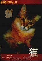 猫   1994  PDF电子版封面  7538120092  严于等编著 