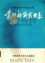 贵州的前震旦系   1976  PDF电子版封面    贵州省地层古生物工作队地层组编 