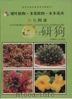 观叶植物·多浆植物·木本花卉原色图谱（1999 PDF版）