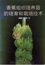 香蕉组织培养苗的培育和栽培技术   1997  PDF电子版封面  7535918786  曾碧露，孙梓健著 