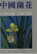中国兰花  图集  1（1990 PDF版）