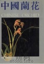 中国兰花  图集  2（1991 PDF版）