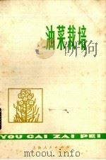 油菜栽培   1977  PDF电子版封面  717110·16  上海市工农教育教材编写组编 