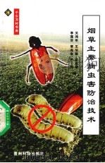 烟草主要病虫害防治技术   1999  PDF电子版封面  7805849234  关鸿年等编 