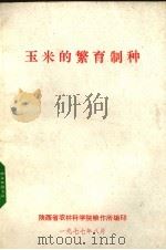 玉米的繁育制种   1977  PDF电子版封面    陕西省农林科学院粮作编 