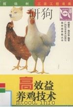 高效益养鸡技术（1998 PDF版）