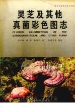 灵芝及其他真菌彩色图志   1997  PDF电子版封面  7805847029  吴兴亮等著 
