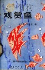 观赏鱼   1983  PDF电子版封面  16051·60222  吴正泰，许品章编 