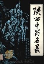 陕西中药名录   1985  PDF电子版封面    陕西省中医药研究院编 