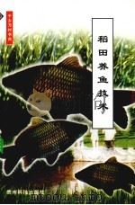 稻田养鱼技术   1999  PDF电子版封面  7805848831  施颂发编著 