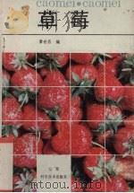 草莓（1986 PDF版）