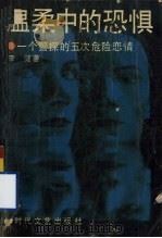 温柔中的恐惧  一个警探的五次奇遇   1993  PDF电子版封面  7538706089  李健著 