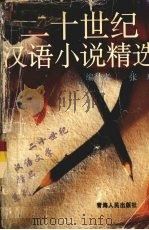 二十世纪汉语小说精选  下（1995 PDF版）