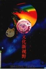 文化新视野  看世界  论中国  说台湾   1996  PDF电子版封面  7800391159  辛旗著 