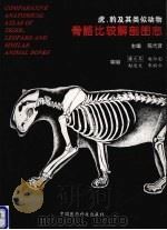 虎、豹及其类似动物骨骼比较解剖图志   1995  PDF电子版封面  750671390X  陈代贤主编；门启洪等编著 