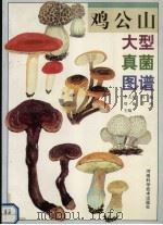 鸡公山大型真菌图谱   1997  PDF电子版封面  7534919525  李天煜等主编 