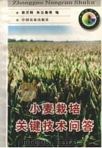小麦栽培关键技术问答   1998  PDF电子版封面  7109049337  郭天财，朱云集等编 