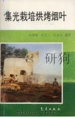 集光栽培烘烤烟叶   1995  PDF电子版封面  7502919635  陈继峰等编著 