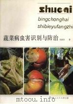 蔬菜病虫害识别与防治   1991  PDF电子版封面  7227006379  刘西存编著 