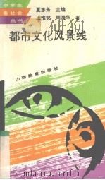 都市文化风景线   1994  PDF电子版封面  7544004899  王唯铭，周漪华著 