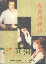 梅莉的晚约：台湾微型小说精选   1990  PDF电子版封面  7536007655  周文彬编 