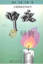 师魂·山东、江苏、江西卷（1995 PDF版）