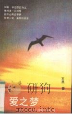 爱之梦  王昆爱情青春抒情诗   1991  PDF电子版封面  7800164845  王昆著 
