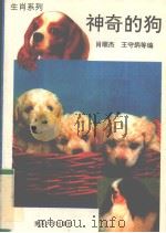 神奇的狗（1994 PDF版）
