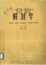 解剖学   1985.10  PDF电子版封面    赵一鸣等编写 