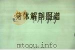 猪体解剖图谱   1978  PDF电子版封面  16094·68  陕西省农林学校编 