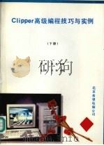 Clipper高级编程技巧与实例  下     PDF电子版封面    廖斌，张林编著 