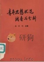 青年思想状况调查与分析   1990  PDF电子版封面    赵喜明主编 