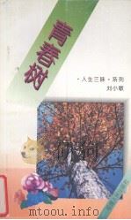 青春树   1995  PDF电子版封面  7211025263  刘小敏著 