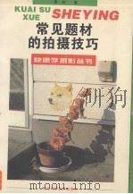 常见题材的拍摄技巧   1998  PDF电子版封面  7536437471  蔡林著 