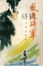 风流将军：王凌云外传（1993 PDF版）