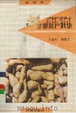 甘薯高产栽培   1992  PDF电子版封面  7805725241  朱金亭等编著 