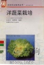 洋蔬菜栽培   1995  PDF电子版封面  7533711963  张胜民，鲍雅娟编著 