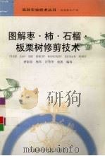 图解枣·柿·石榴·板栗树修剪技术（1998 PDF版）