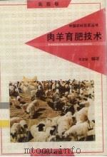 肉羊育肥技术  禽畜卷   1991  PDF电子版封面  7805725268  王立铭编著 