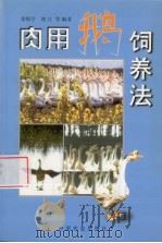 肉用鹅饲养法   1997  PDF电子版封面  7109042901  徐银学等编著 