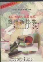 冬瓜  西葫芦  南瓜  丝瓜栽培新技术（1997 PDF版）