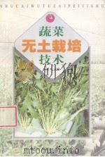 蔬菜无土栽培技术   1998  PDF电子版封面  7538128492  杨家书主编 