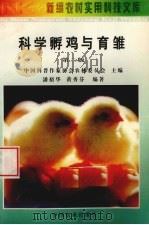 科学孵鸡与育雏  第2版（1998 PDF版）