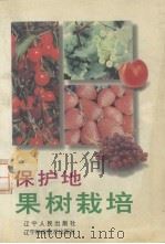 保护地果树栽培   1996  PDF电子版封面  7205038111  刘恩璞，白金友主编 