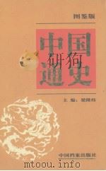 中国通史  图鉴版  第10卷（1999 PDF版）