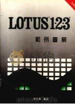 LOTUS1－2－3范例图解   1990  PDF电子版封面    林功艺编译 