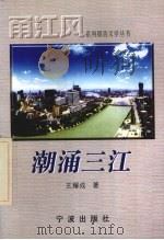 潮涌三江  宁波开发开放二十年纪略   1999  PDF电子版封面  7806022627  王耀成著 