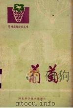 葡萄   1985  PDF电子版封面  16365·2  吕湛，赵坤安编著 