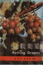 盆栽葡萄（1986 PDF版）