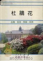 杜鹃花   1985  PDF电子版封面    王铭琪编辑 